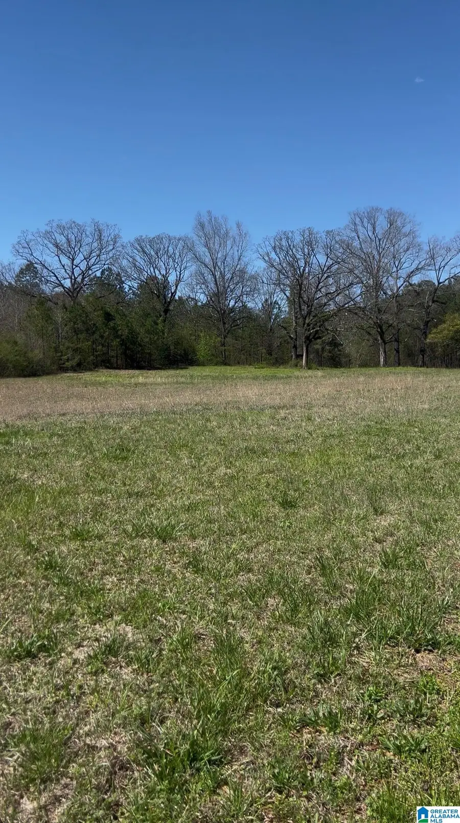 2122 COUNTY ROAD 42, Calera, AL 35040 - #2