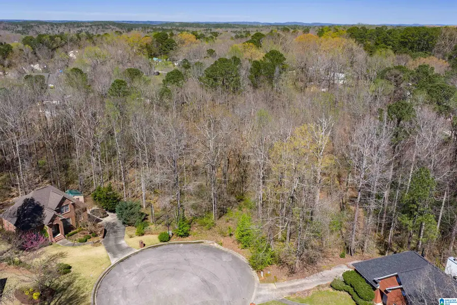 1462 ACORN WAY, Mount Olive, AL 35117 - #2