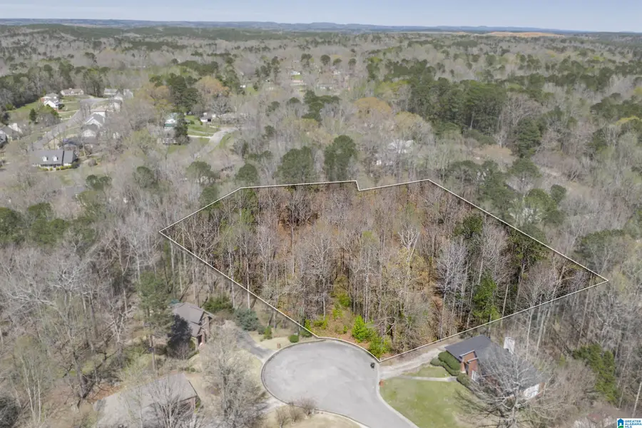 1462 ACORN WAY, Mount Olive, AL 35117 - #3