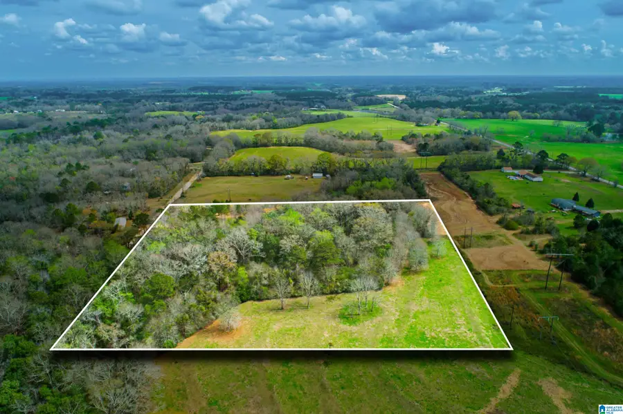 27180 DEER RUN ROAD, Opp, AL 36467 - #2