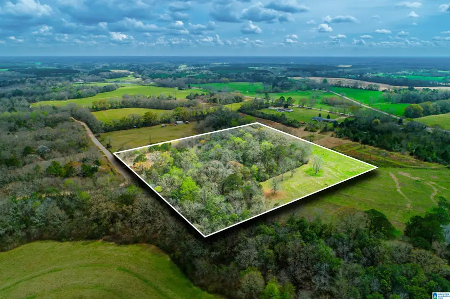 27180 DEER RUN ROAD, Opp, AL 36467 - #3