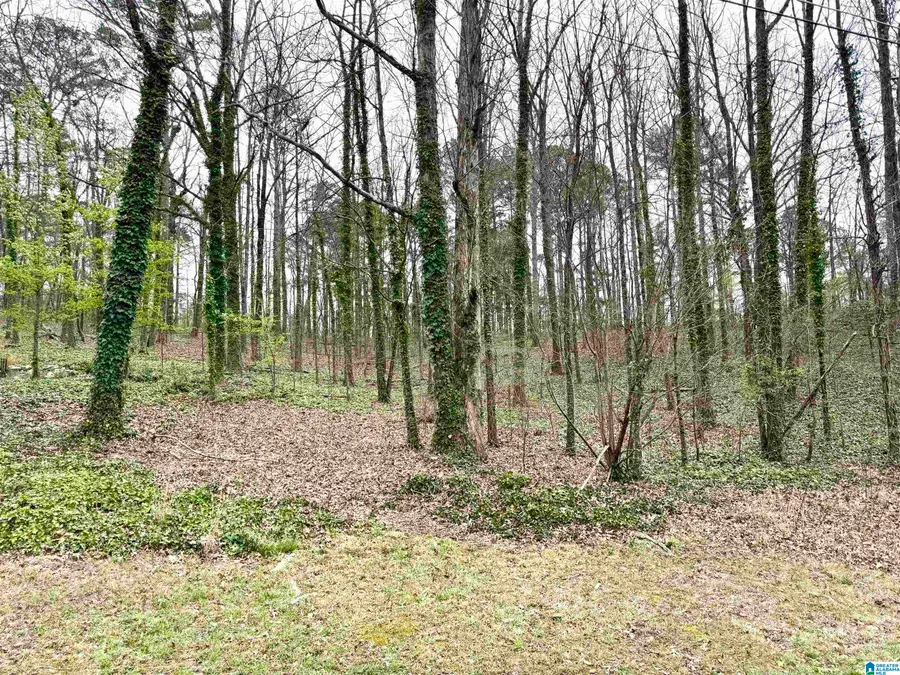 2615 3RD STREET NE, Center Point, AL 35215 - #2