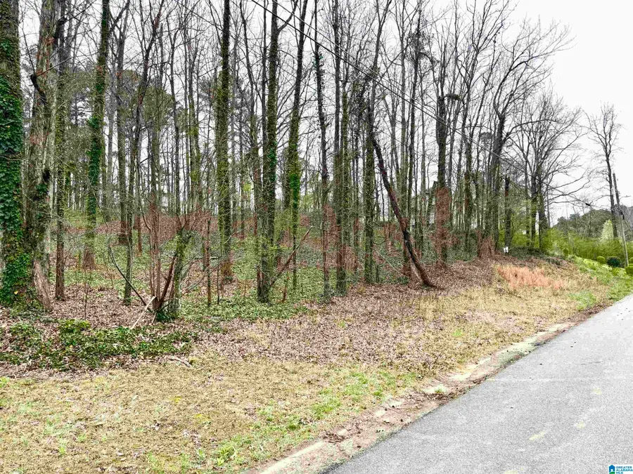 2615 3RD STREET NE, Center Point, AL 35215 - #3