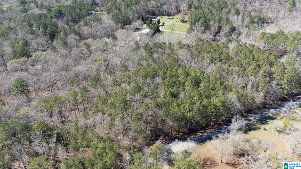 26 N NORTHVIEW CIRCLE, Northport, AL 35475 - #1