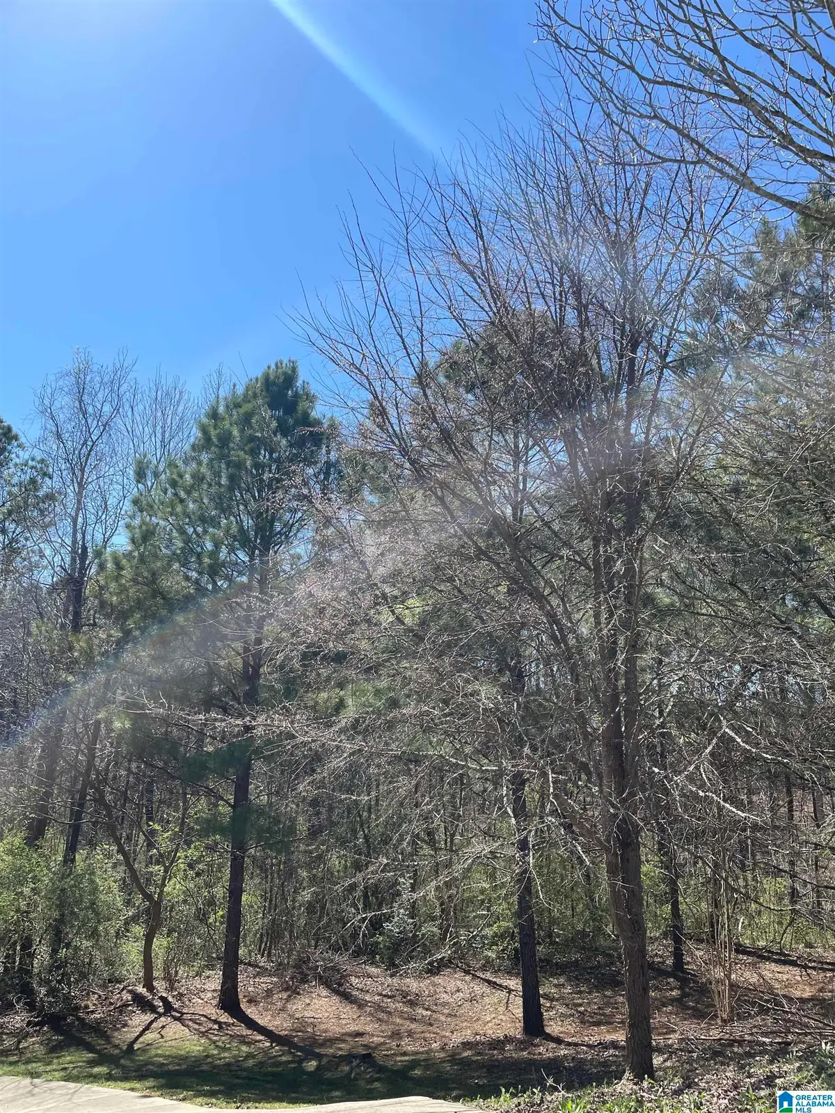 70 SINGAPORE CIRCLE, Birmingham, AL 35211 - #1