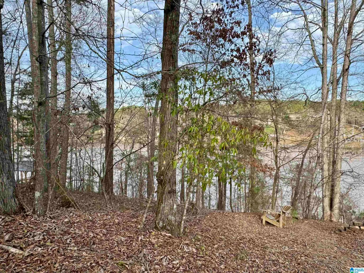 Lot 78 WRIGHT WAY DRIVE, Wedowee, AL 36278 - #1