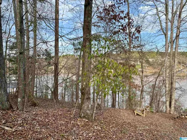 Lot 78 WRIGHT WAY DRIVE, Wedowee, AL 36278