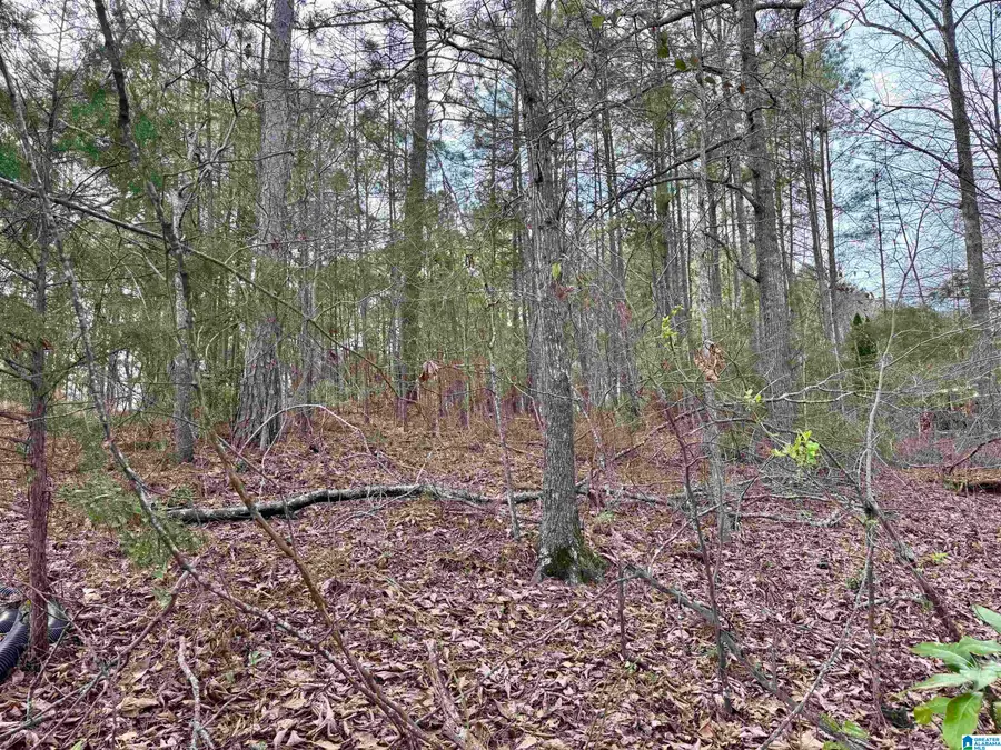 Lot 78 WRIGHT WAY DRIVE, Wedowee, AL 36278 - #2