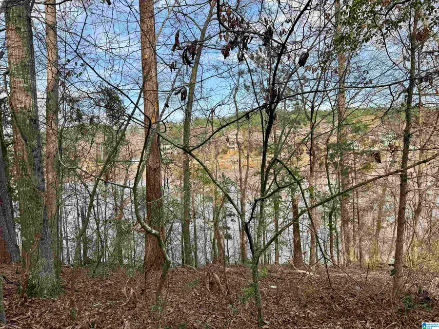 Lot 78 WRIGHT WAY DRIVE, Wedowee, AL 36278 - #3