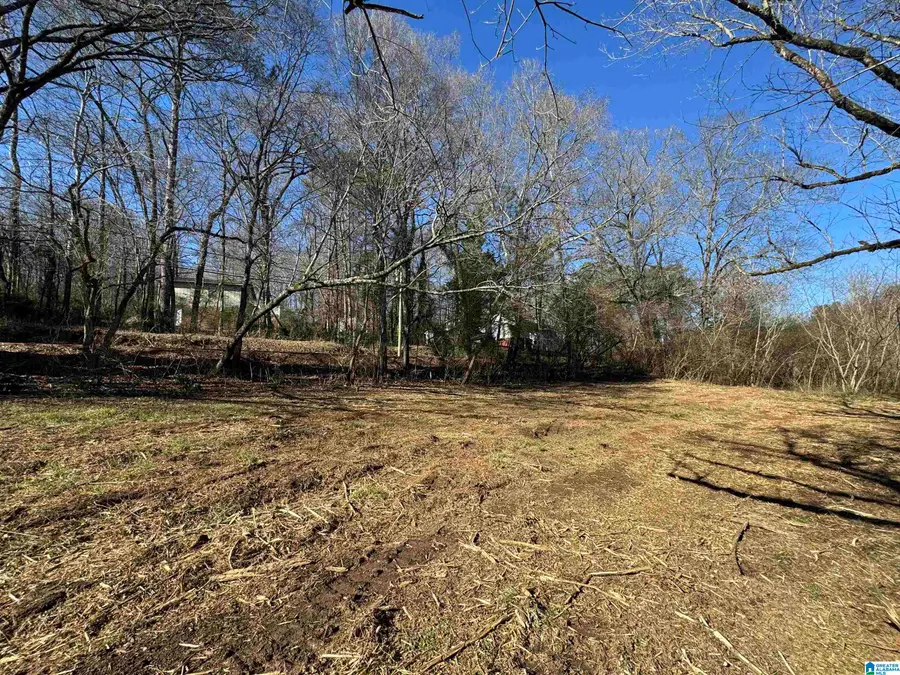 6944 OLD SPRINGVILLE ROAD, Pinson, AL 35126 - #3