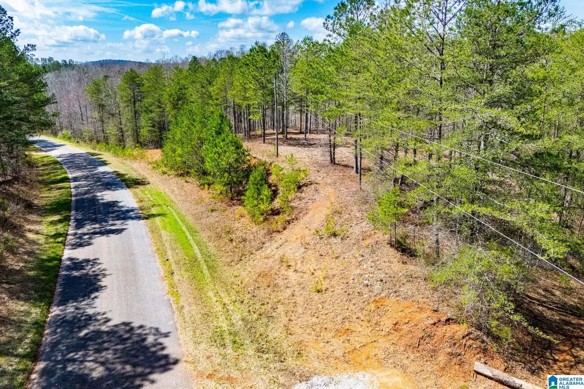 23 ACRES COUNTY ROAD 7, Wedowee, AL 36278 - #1