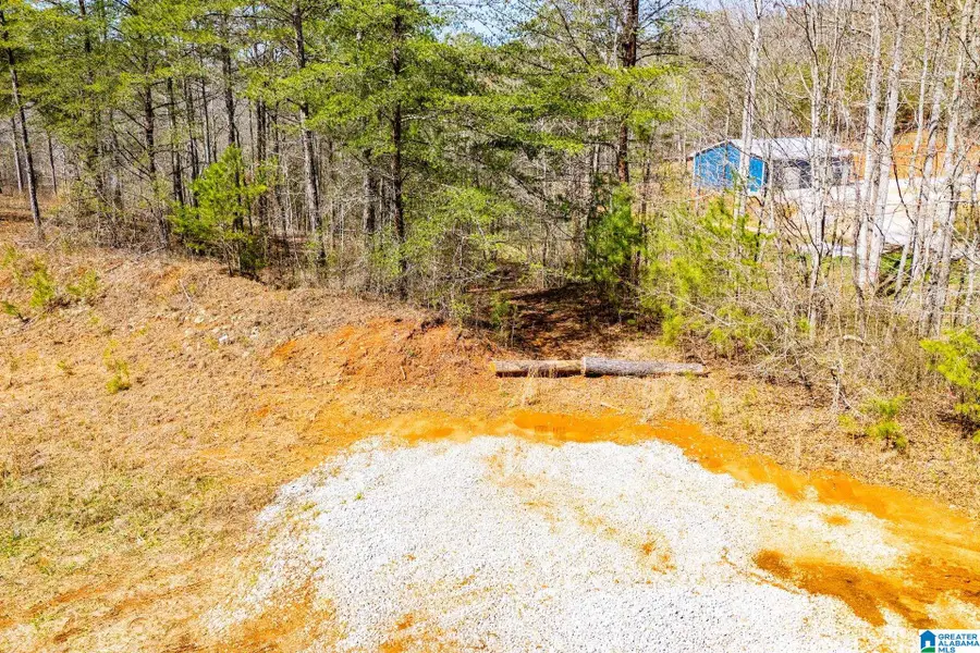 23 ACRES COUNTY ROAD 7, Wedowee, AL 36278 - #2