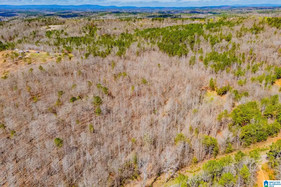 23 ACRES COUNTY ROAD 7, Wedowee, AL 36278 - #3