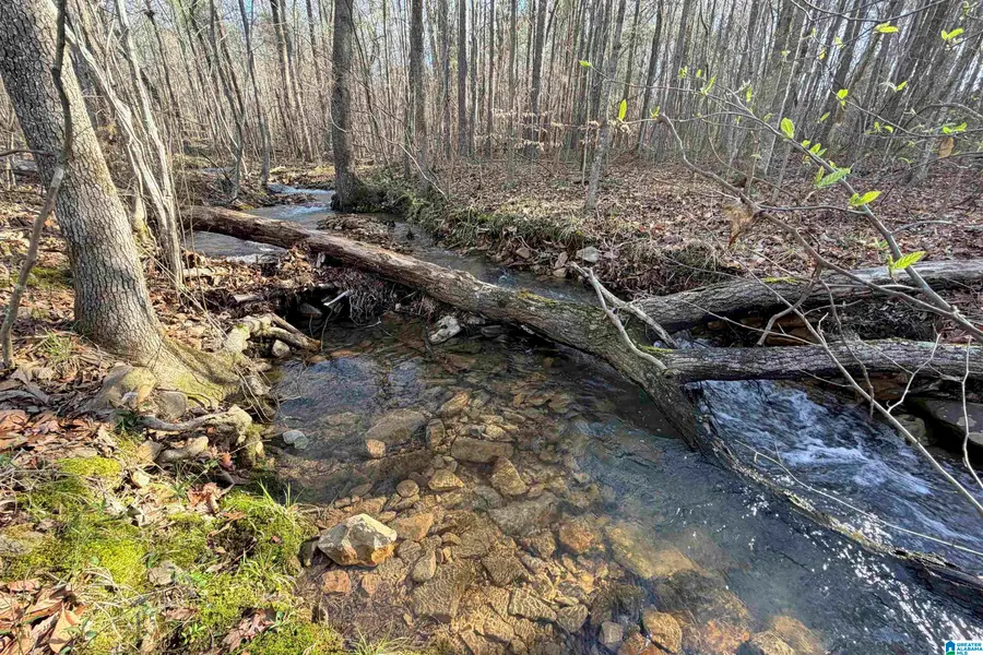 310 WOOD VALLEY ROAD, Anniston, AL 36207 - #2