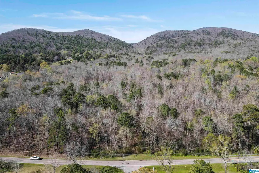 310 WOOD VALLEY ROAD, Anniston, AL 36207 - #3