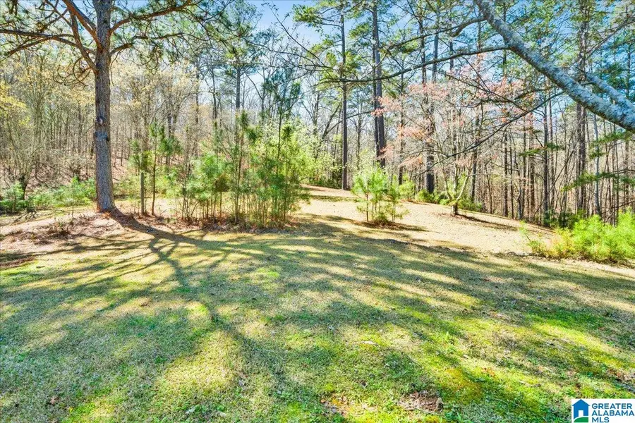 143 SPORTSMAN LAKE ROAD, Odenville, AL 35146 - #3