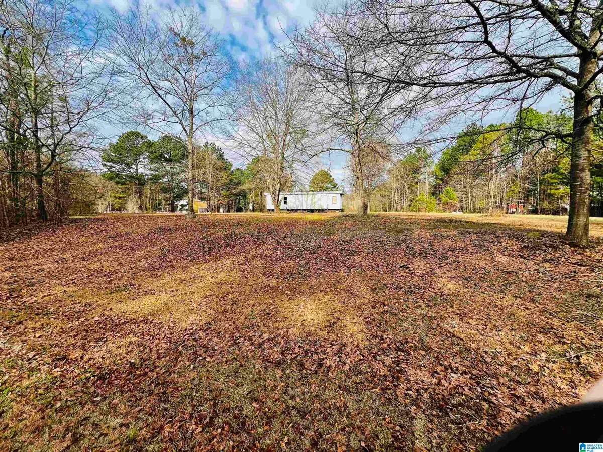 411 LAUNCH DRIVE, Ashville, AL 35953 - #1