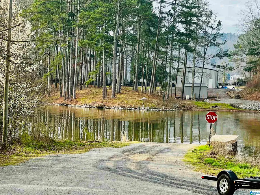 411 LAUNCH DRIVE, Ashville, AL 35953 - #2