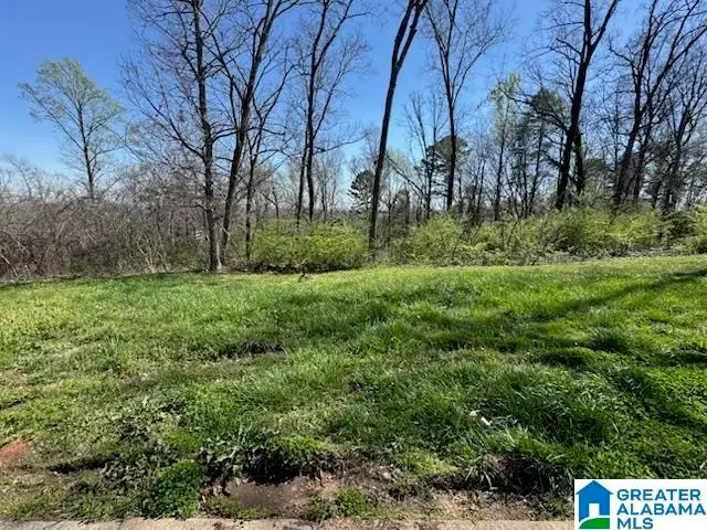 5009 ALTAMONT ROAD, Birmingham, AL 35222 - #2