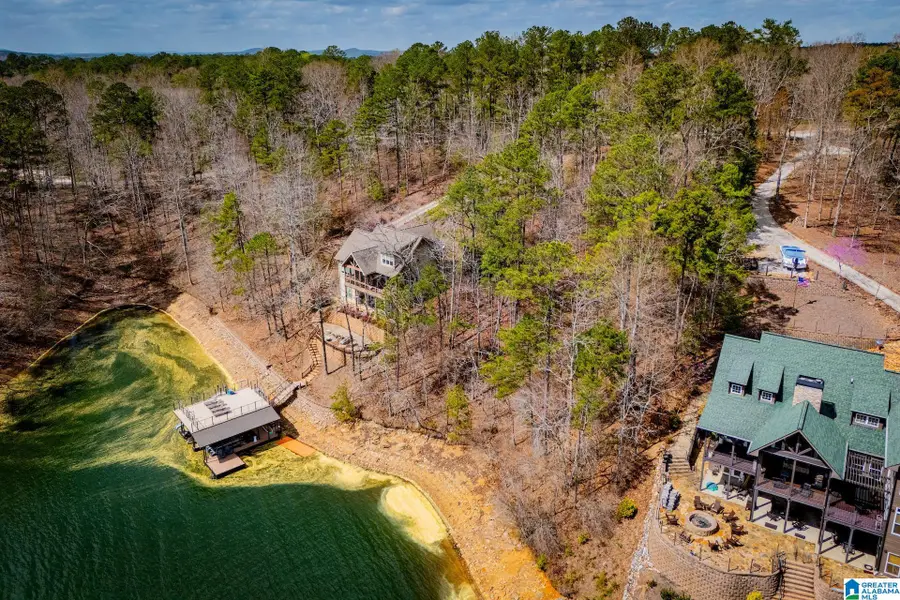 LOT 49 COUNTY ROAD 897, Wedowee, AL 36278 - #3