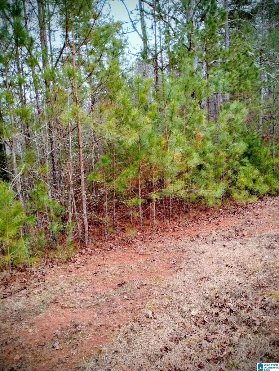 Lot 17 MANDY DRIVE, Wedowee, AL 36278 - #2