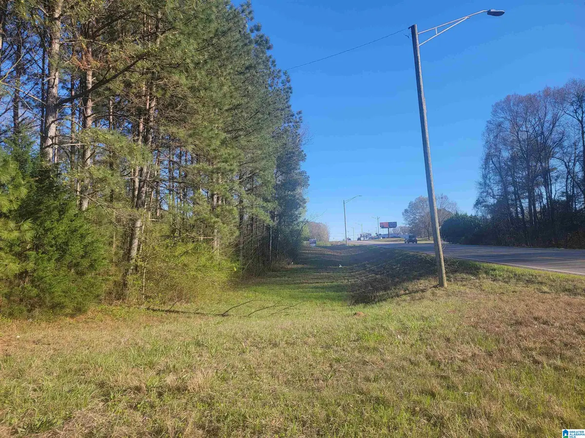 3.02+/- Acres HIGHWAY 431, Roanoke, AL 36274 - #1