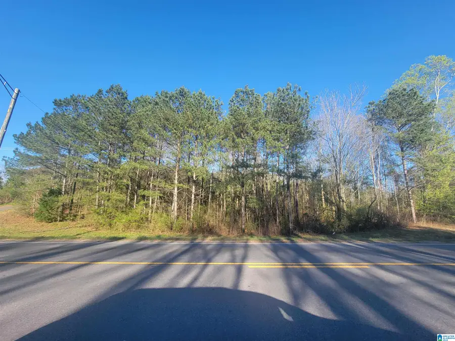 3.02+/- Acres HIGHWAY 431, Roanoke, AL 36274 - #2