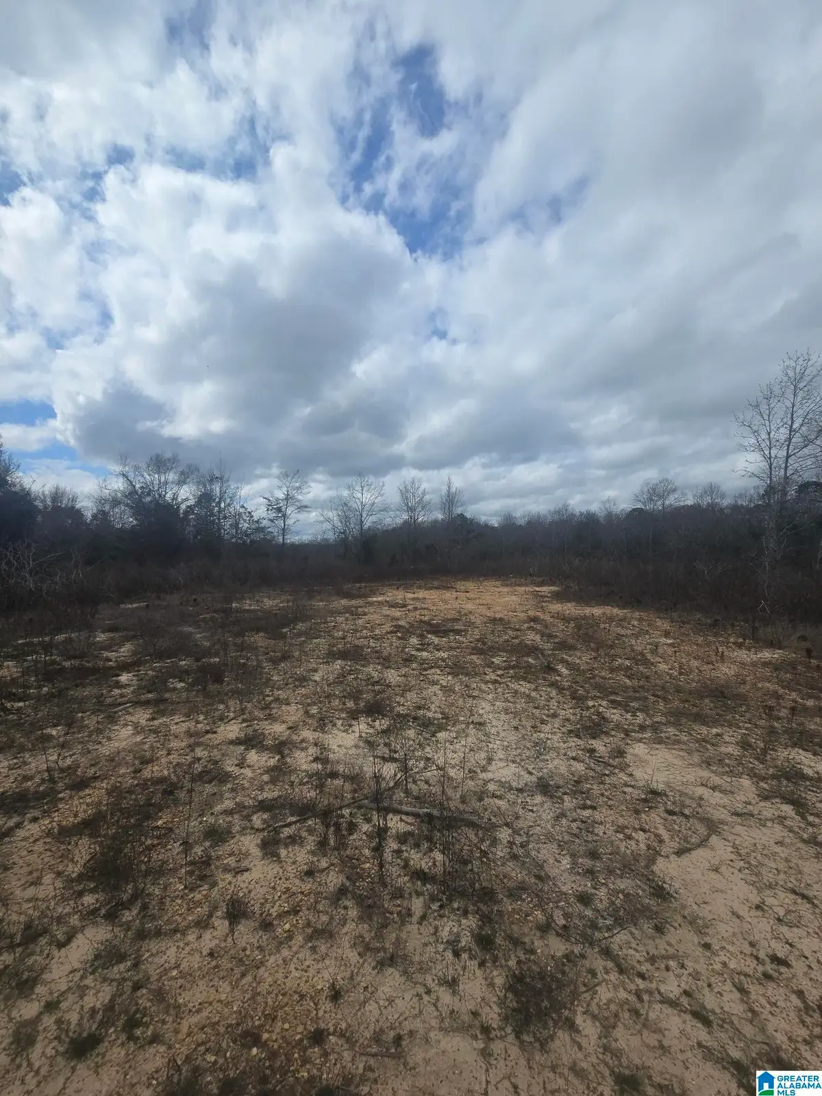 0 COUNTY ROAD 351, Maplesville, AL 36750 - #1