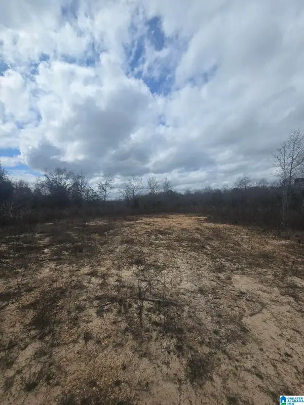 0 COUNTY ROAD 351, Maplesville, AL 36750