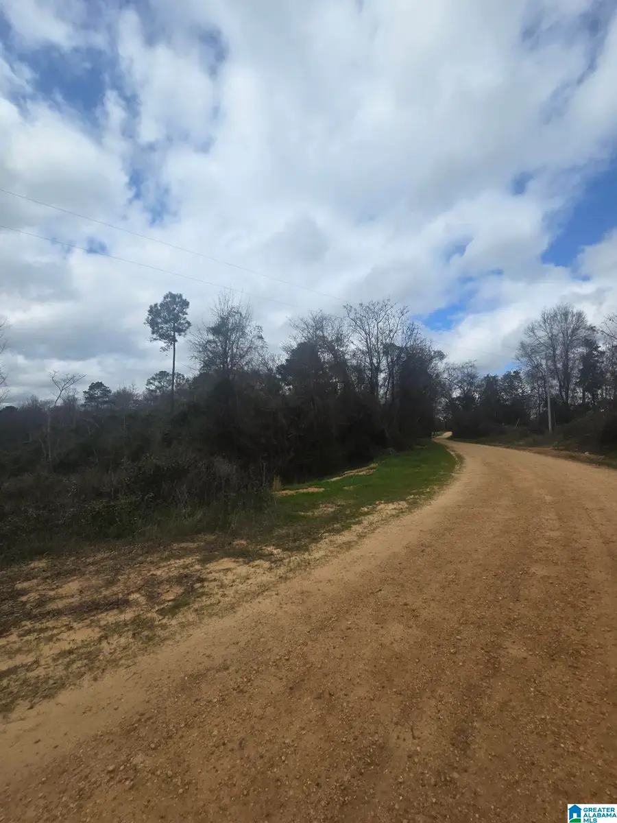 0 COUNTY ROAD 351, Maplesville, AL 36750 - #3