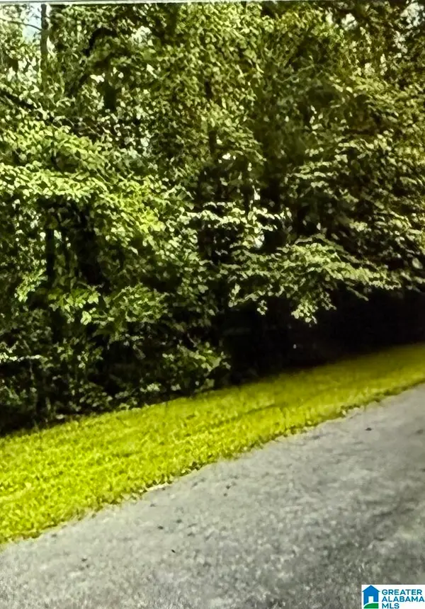 LOT 11 CANAL STREET, Childersburg, AL 35044