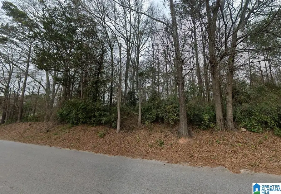 440 2ND AVENUE SW, Lafayette, AL 36862 - #2