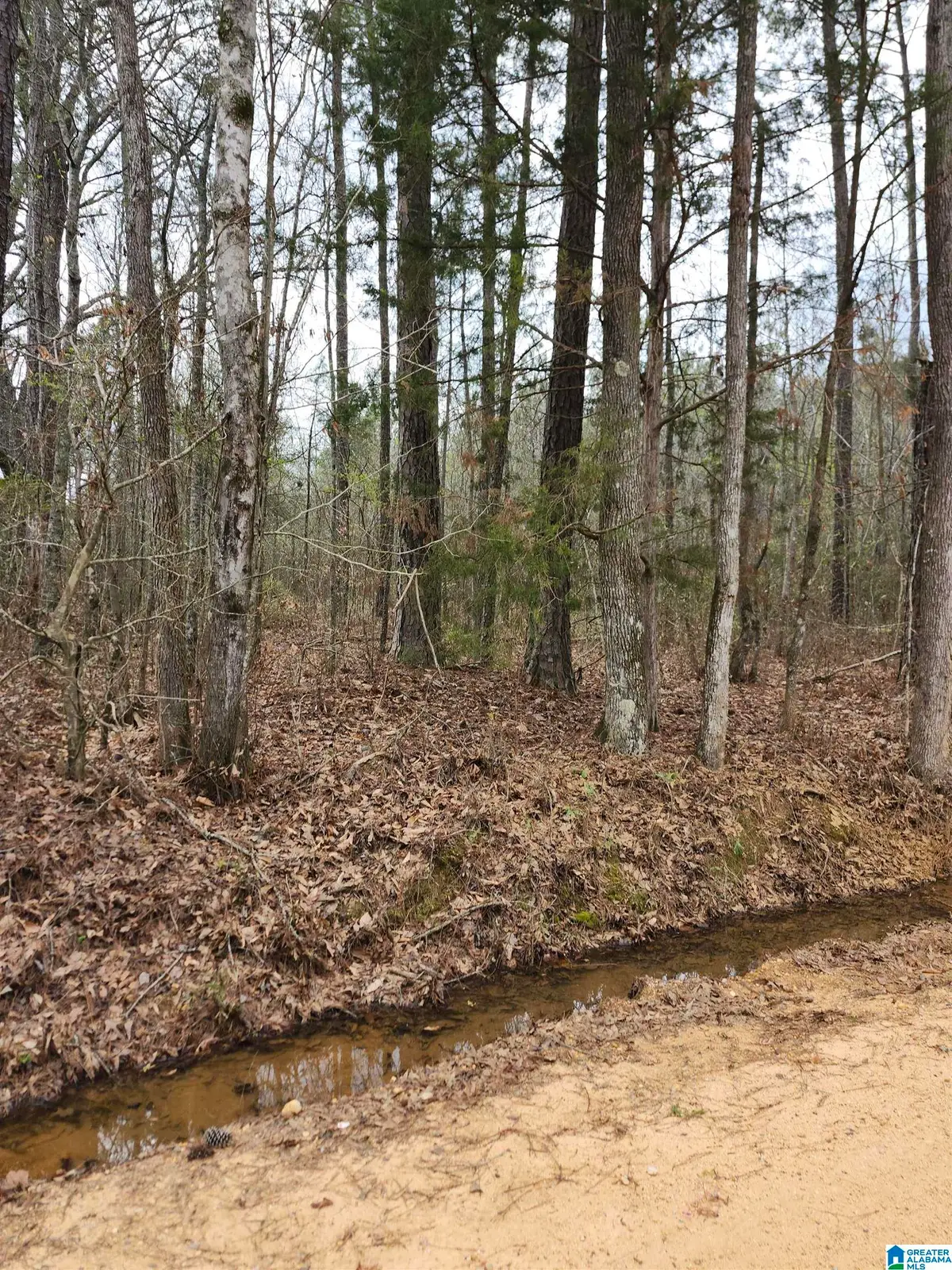 0 COUNTY ROAD 495, Verbena, AL 36091 - #1