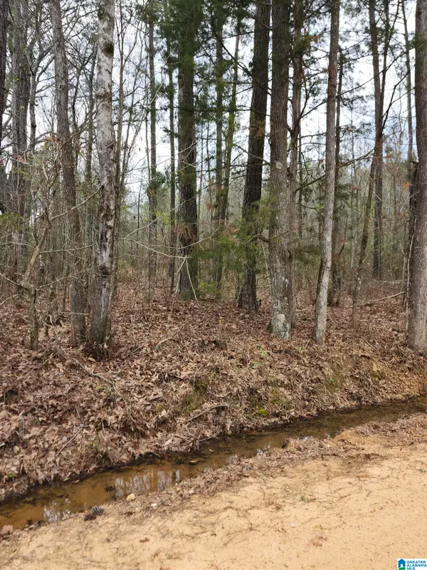 0 COUNTY ROAD 495, Verbena, AL 36091