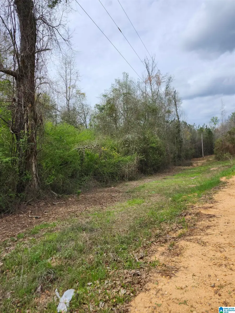 0 COUNTY ROAD 495, Verbena, AL 36091 - #2
