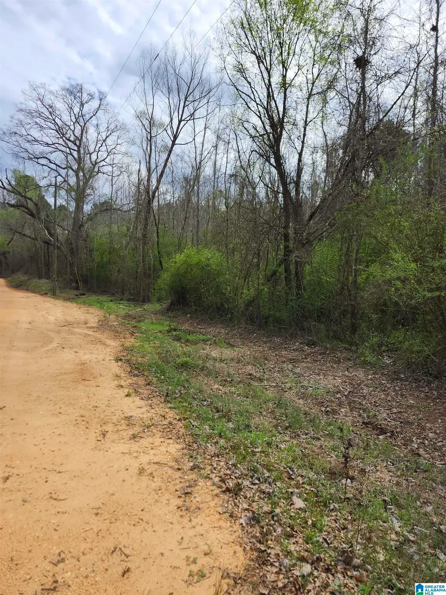 0 COUNTY ROAD 495, Verbena, AL 36091 - #3