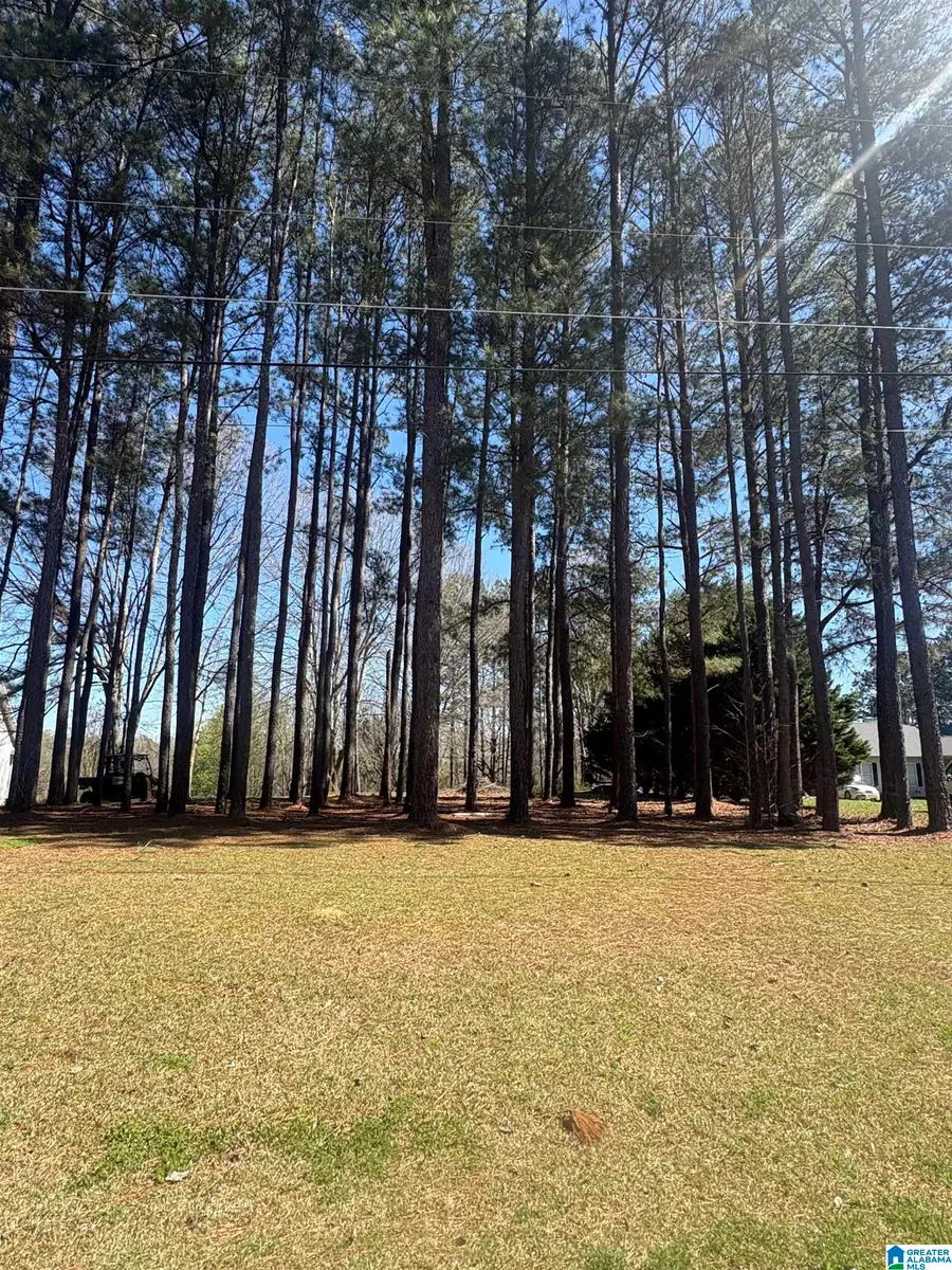 0 HARDIE LANE, Gadsden, AL 35903 - #2