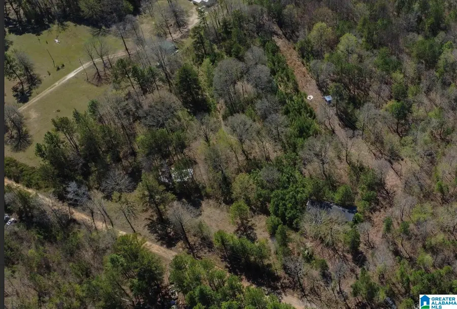 401 COMMUNITY PARK ROAD, Childersburg, AL 35044 - #2