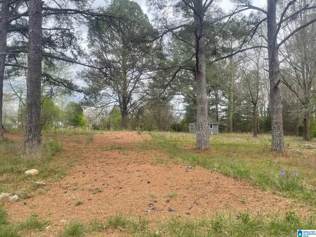 7TH WAY NE, Carbon Hill, AL 35549 - #1