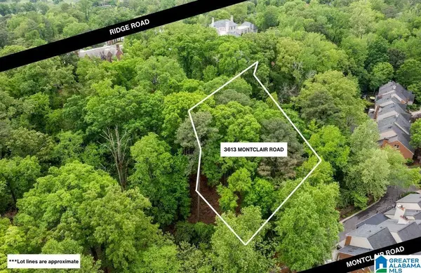 3613 MONTCLAIR ROAD, Mountain brook, AL 35213