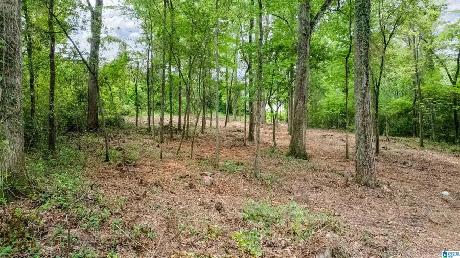 3613 MONTCLAIR ROAD, Mountain Brook, AL 35213 - #2