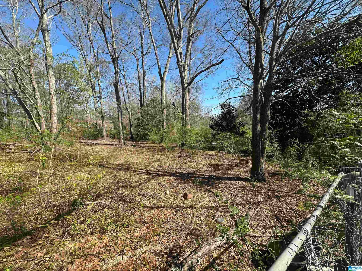 13181 E CAPITAL DRIVE, Lawley, AL 36793 - #1