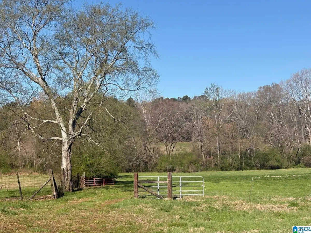 10940 GALLUPS CROSSROAD, Harpersville, AL 35078 - #1