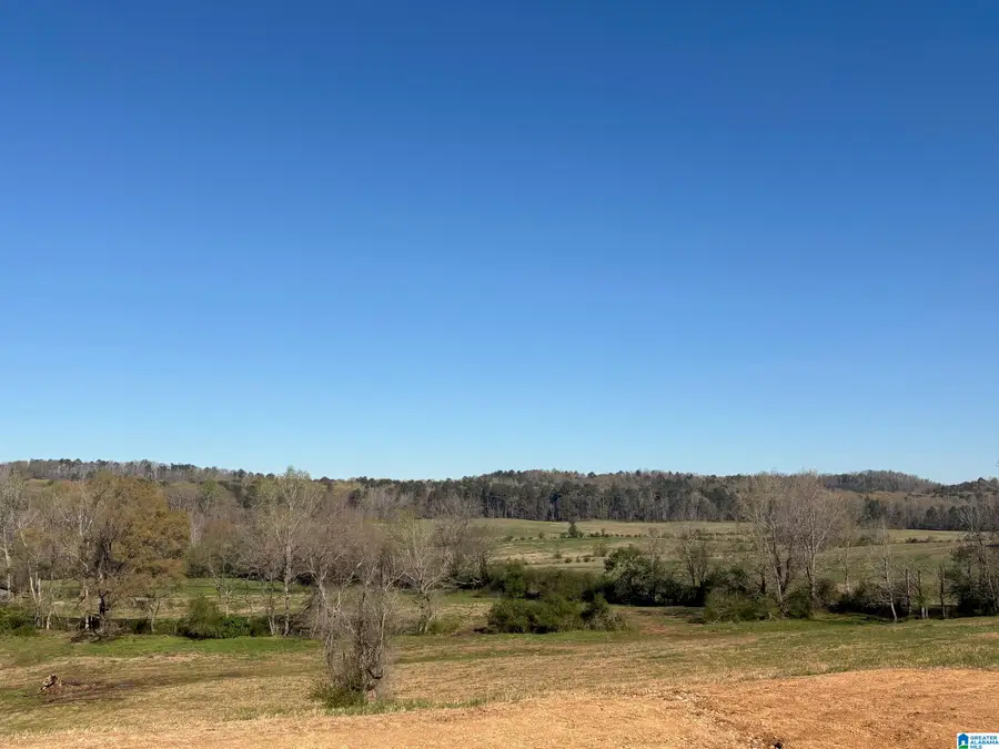 10940 GALLUPS CROSSROAD, Harpersville, AL 35078 - #2