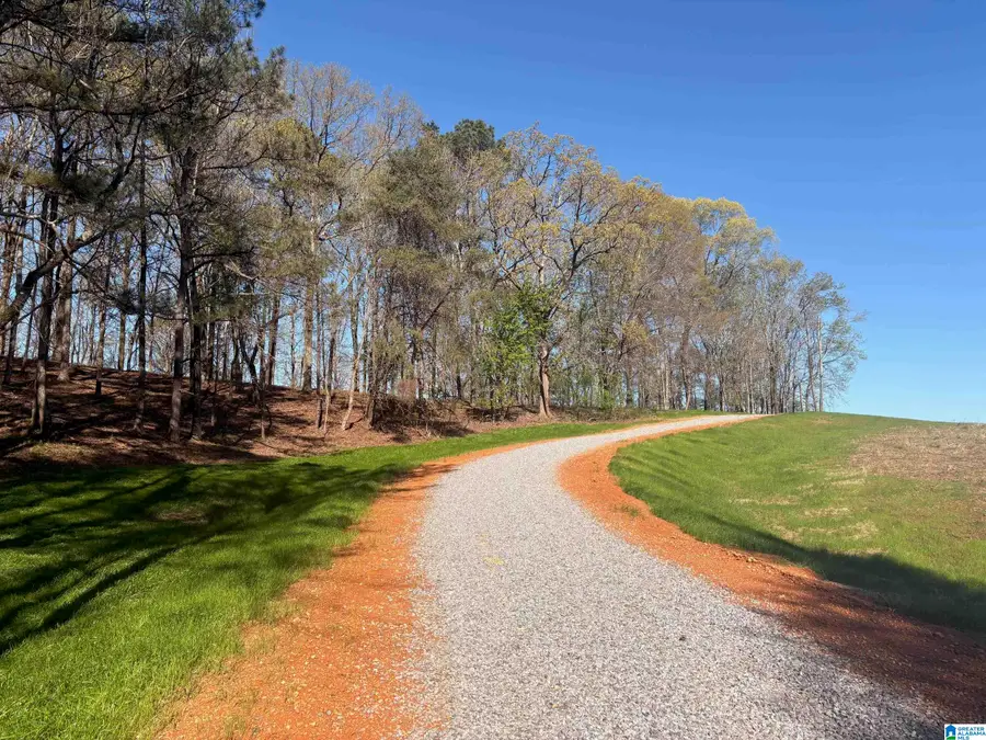 10940 GALLUPS CROSSROAD, Harpersville, AL 35078 - #3