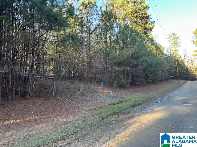 Lot 13 COUNTY ROAD 730, Clanton, AL 35045 - #1