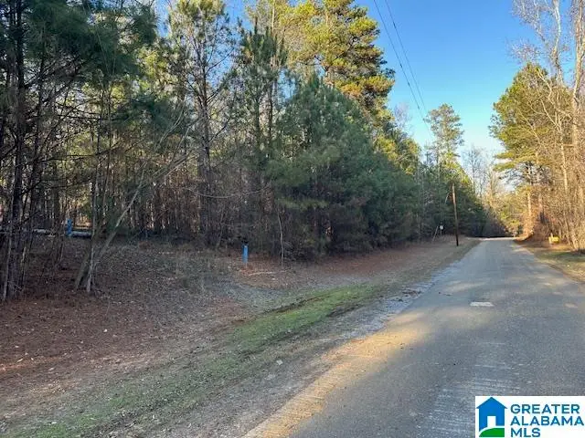 Lot 13 COUNTY ROAD 730, Clanton, AL 35045 - #3