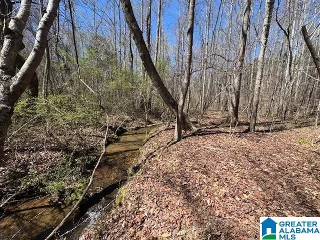 26315 HIGHWAY 77, Wadley, AL 36276 - #2