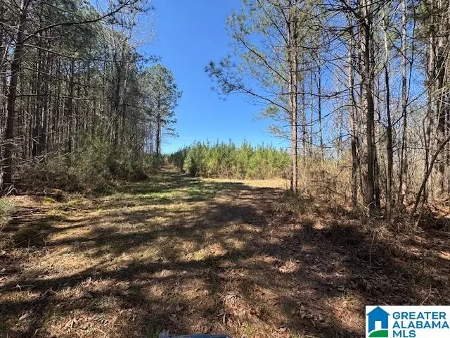 26315 HIGHWAY 77, Wadley, AL 36276 - #3