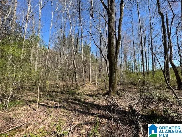 26205 HIGHWAY 77, Wadley, AL 36276 - #1